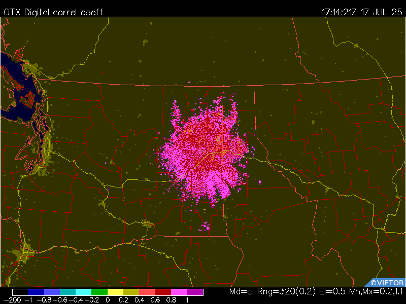 Latest image